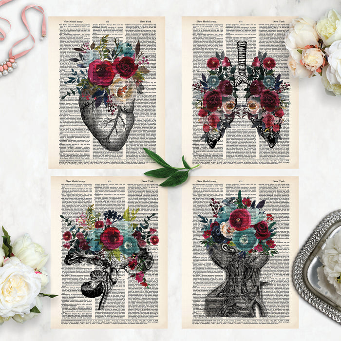 value pack of four dictionary prints includes vintage etching of heart, lungs, brain cross section, and neck all with flowers in the blue and red color scheme on dictionary paper