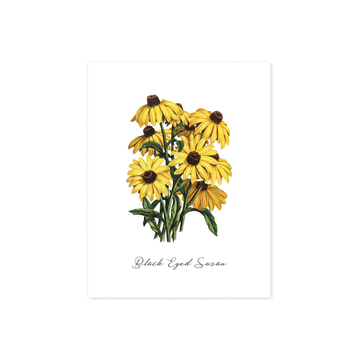 black eyed susan flowers on matte white paper with the words Black Eyed Susan at the bottom