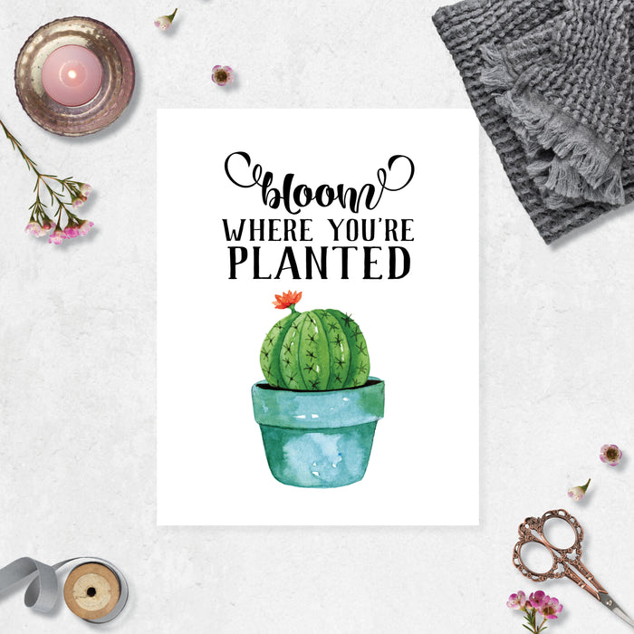 bloom where you're planted quote above a blue plant pot with a prickly cactus with a single peachy colored flower blooming on matte white paper