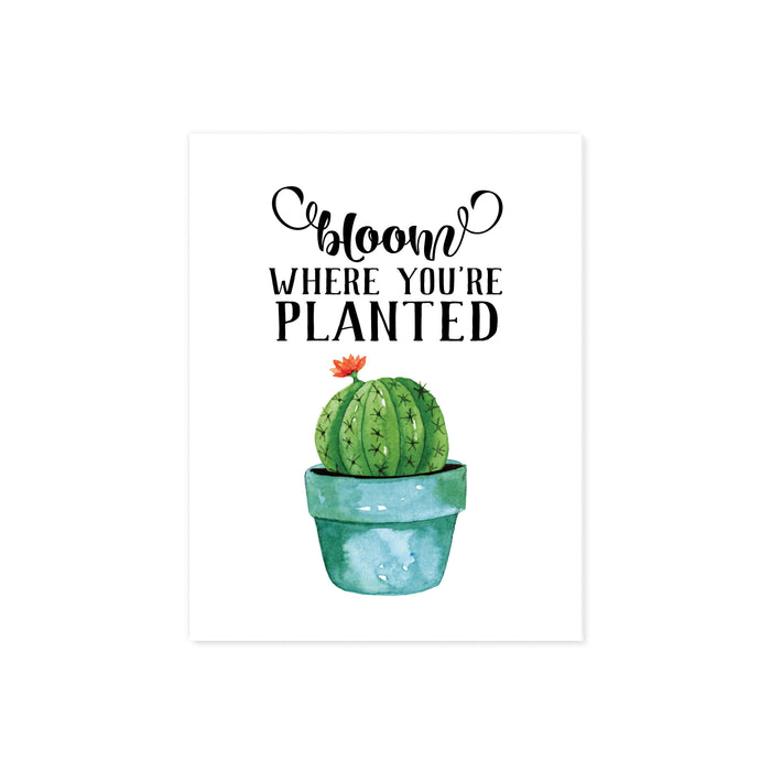bloom where you're planted quote above a blue plant pot with a prickly cactus with a single peachy colored flower blooming on matte white paper fun art