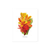 cannas flowers in watercolors, shades of reds and golden yellow with word Cannas written at the bottom on matte white paper