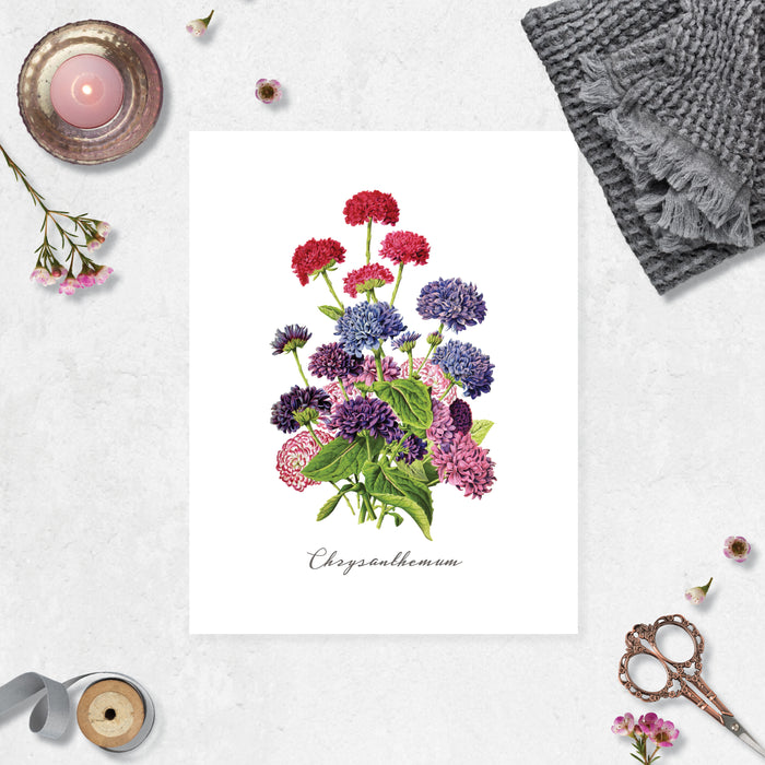 Chrysanthemum in shades of inks, purples, and berry red with the word Chrysanthemum at the bottom printed on matte white paper