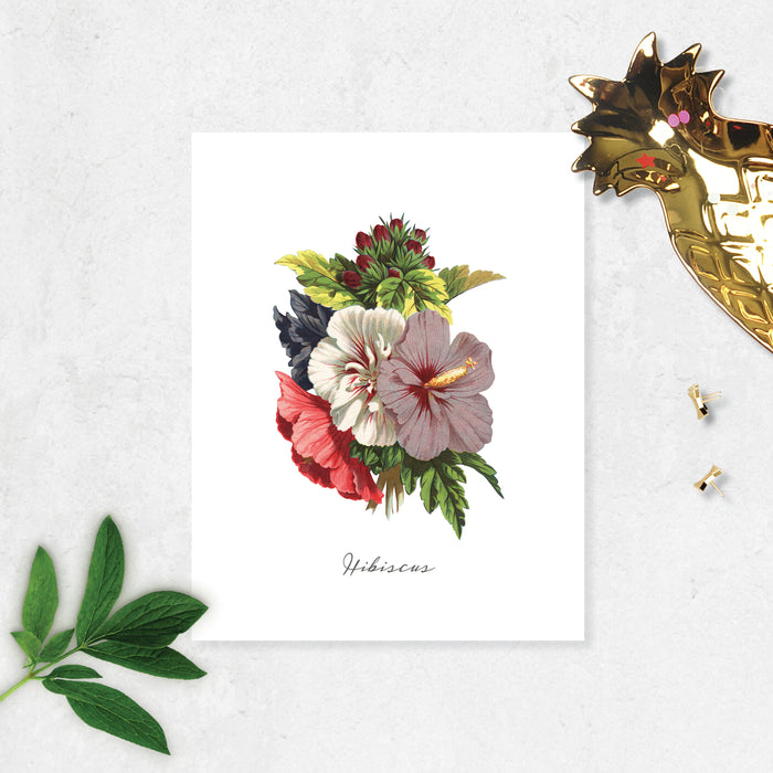 tropical hibiscus in reds, white, and lavender above the word hibiscus printed on matte white paper