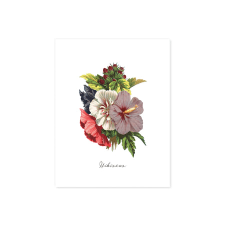 tropical hibiscus in reds, white, and lavender above the word hibiscus printed on matte white paper