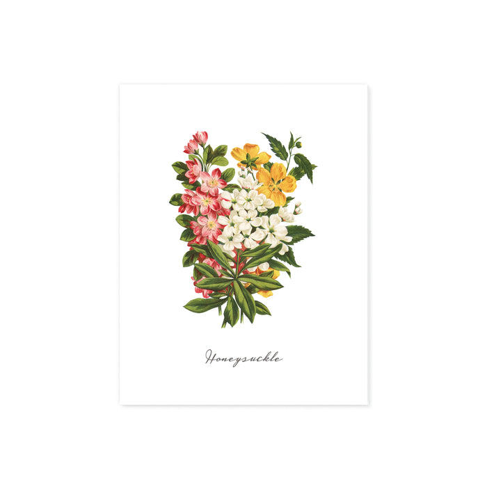 honeysuckle flowers in watercolor above the word honeysuckle on matte white paper