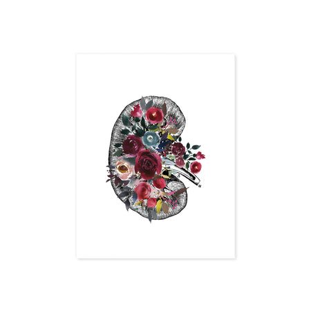 Vintage etching the cross section of a kidney decorated with watercolor flowers in blues and reds printed on matte white paper