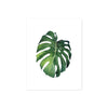 monstera tropical leaf in watercolor printed on matte white paper