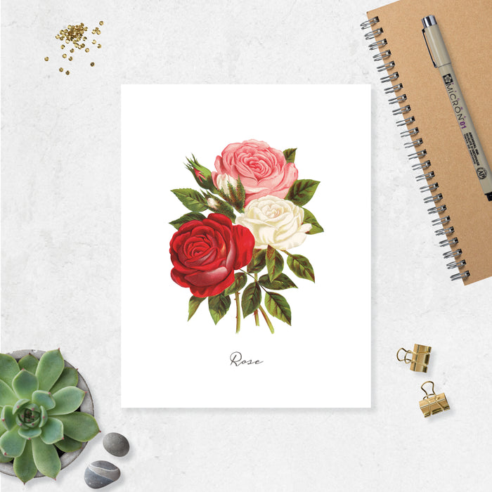watercolor roses in pink, white, and red with greenery with the word rose at the bottom printed on matte white paper
