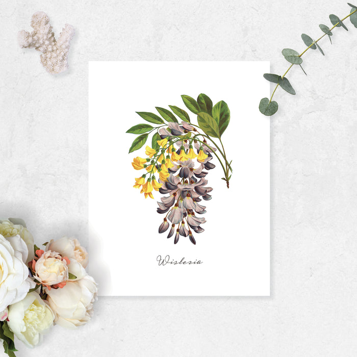 wisteria in pale plum and yellow watercolors with greenery printed on matte white paper